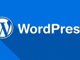 WordPress启用/禁用开发者模式