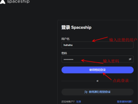 Spaceship域名解析(中文版教程)