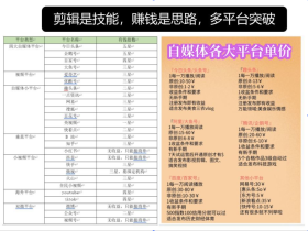 短视频平台播放量收益汇总