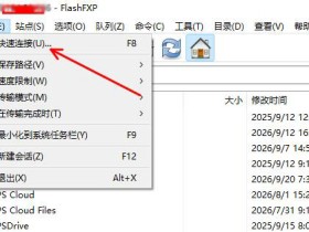 建站必备软件 之 FlashFXP绿色版本下载