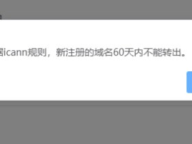 西部数码域名新注册域名多久可以转出?
