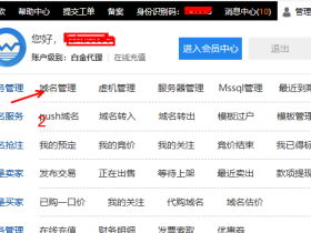 西部数码域名解析教程