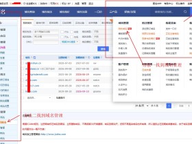 聚名网域名解析教程(2026图文教程)