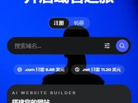 Spaceship域名解析(手机端解析教程)