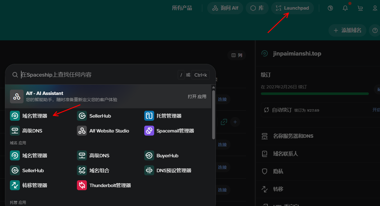 Spaceship域名301跳转设置教程