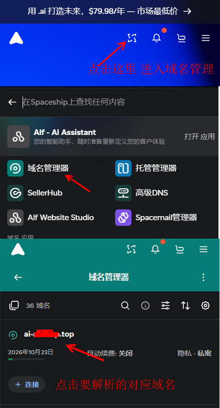 Spaceship域名解析（手机端解析教程）